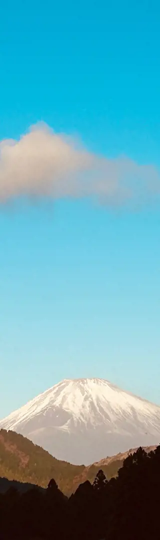 Der heilige Berg